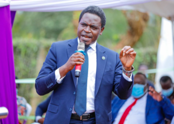 Nelson Havi, the President of the LSK, has been arrested.